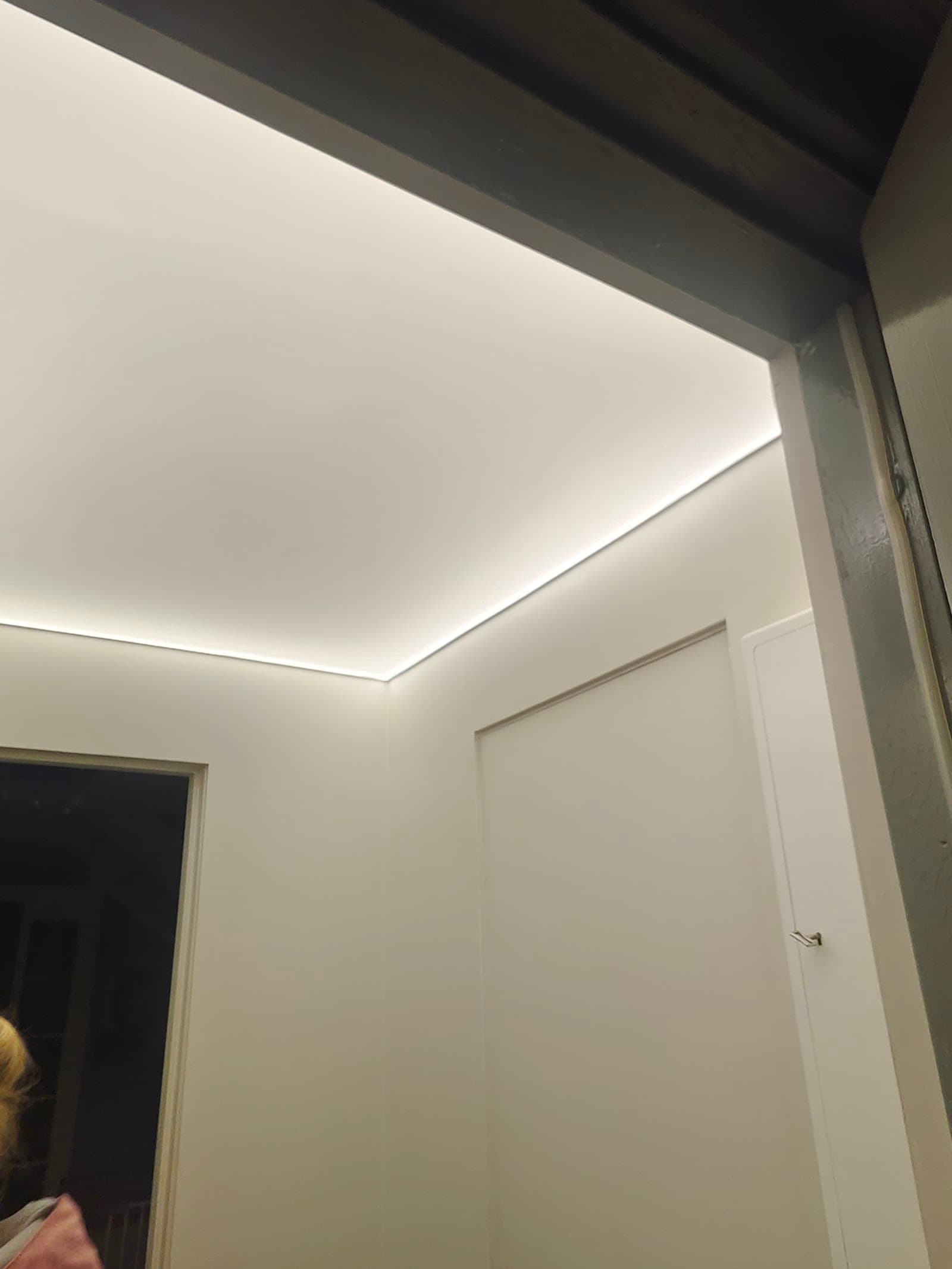 Prosjekt 19